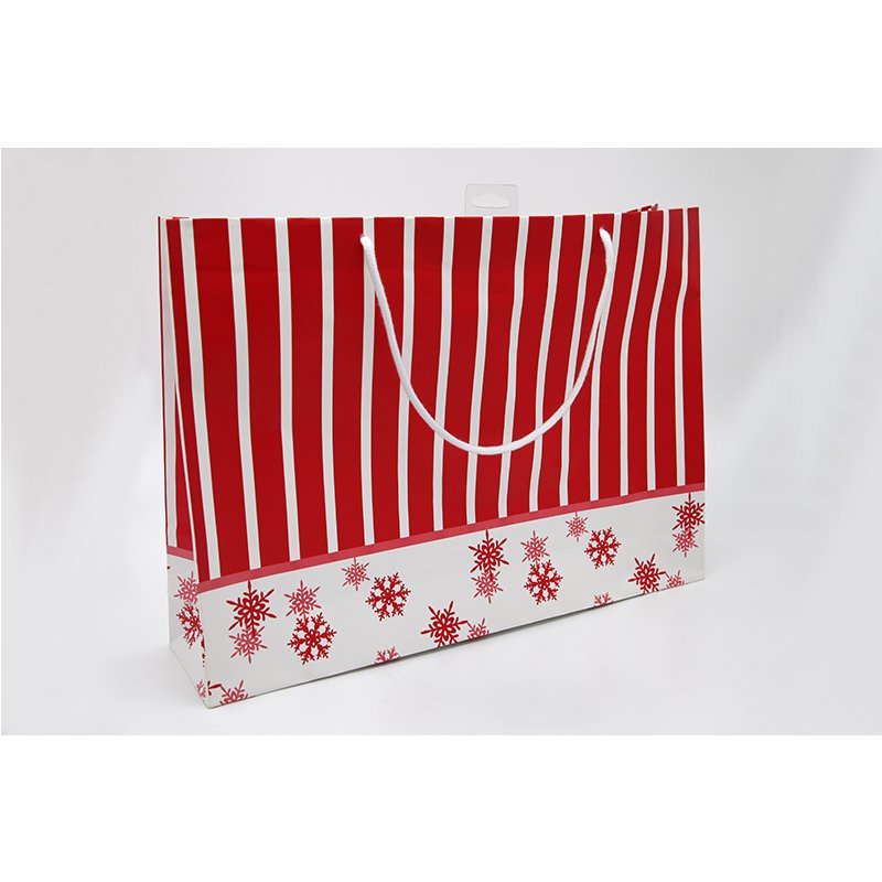 Customised Color Printed Fancy Paper Packaging Gift Bag